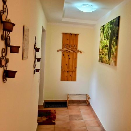 Ferienwohnung Im Landhaus Am Nationalpark Ludwigsthal 外观 照片