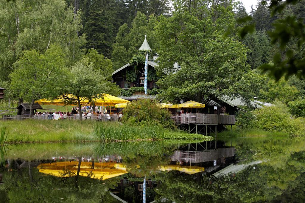 Ferienwohnung Im Landhaus Am Nationalpark Ludwigsthal 外观 照片