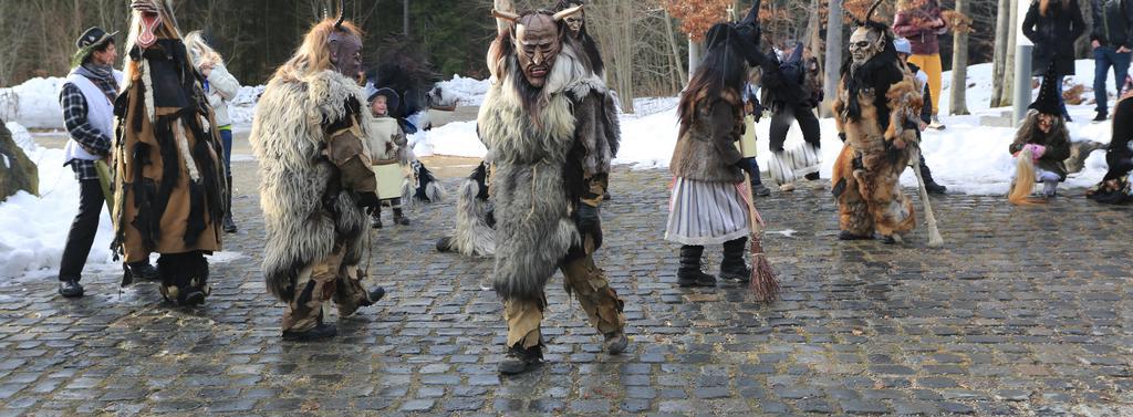 Ferienwohnung Im Landhaus Am Nationalpark Ludwigsthal 外观 照片