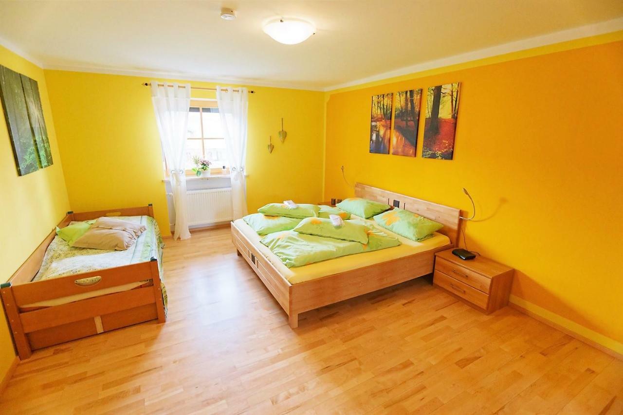 Ferienwohnung Im Landhaus Am Nationalpark Ludwigsthal 外观 照片