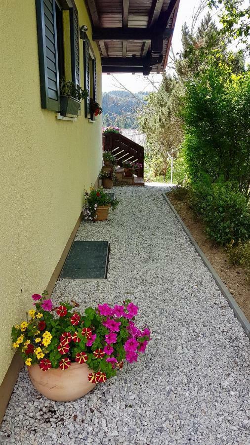 Ferienwohnung Im Landhaus Am Nationalpark Ludwigsthal 外观 照片